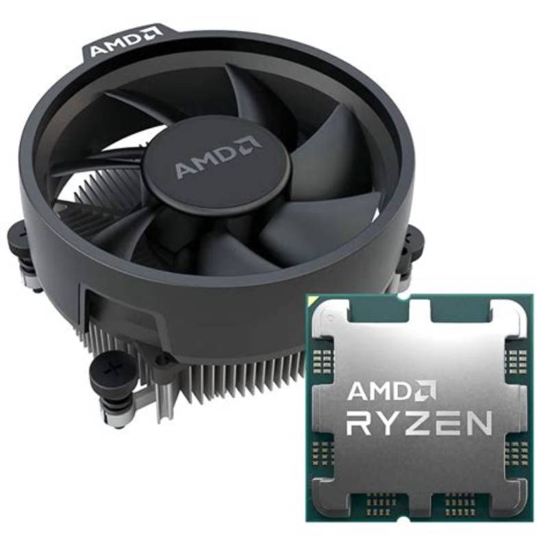 AMD Plus 12