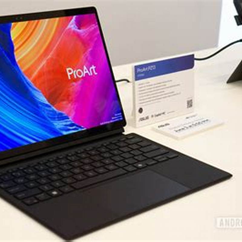 Asus Pro 04
