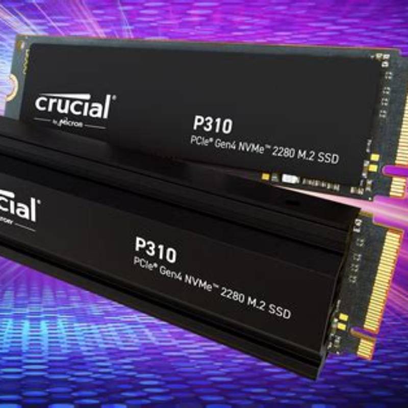 Crucial S