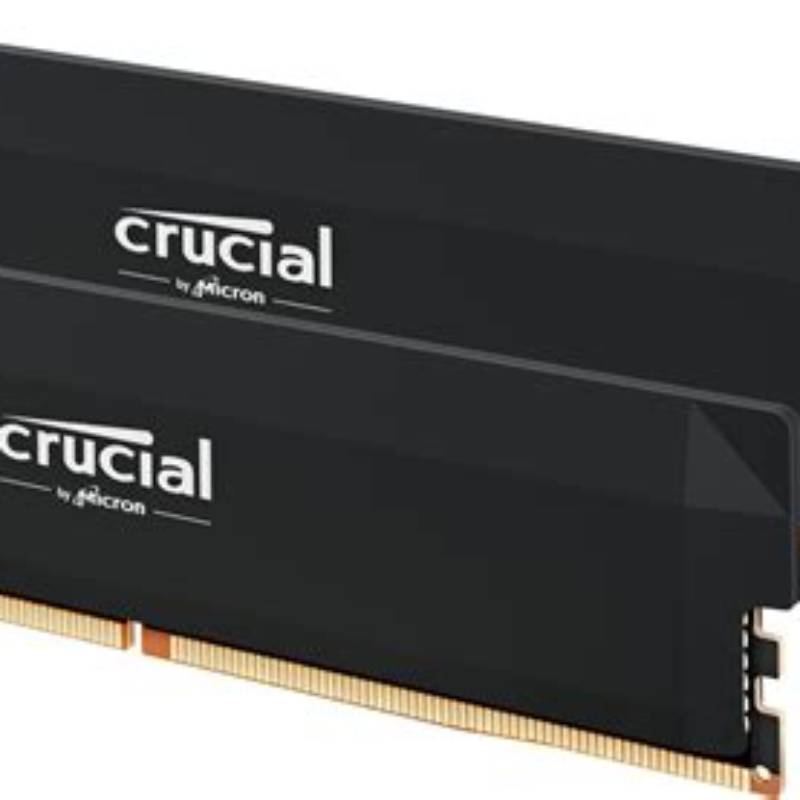 Crucial X