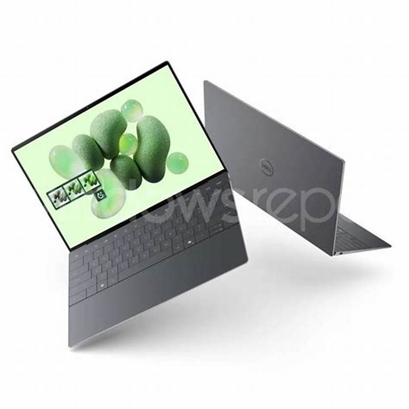 Dell Elite 07