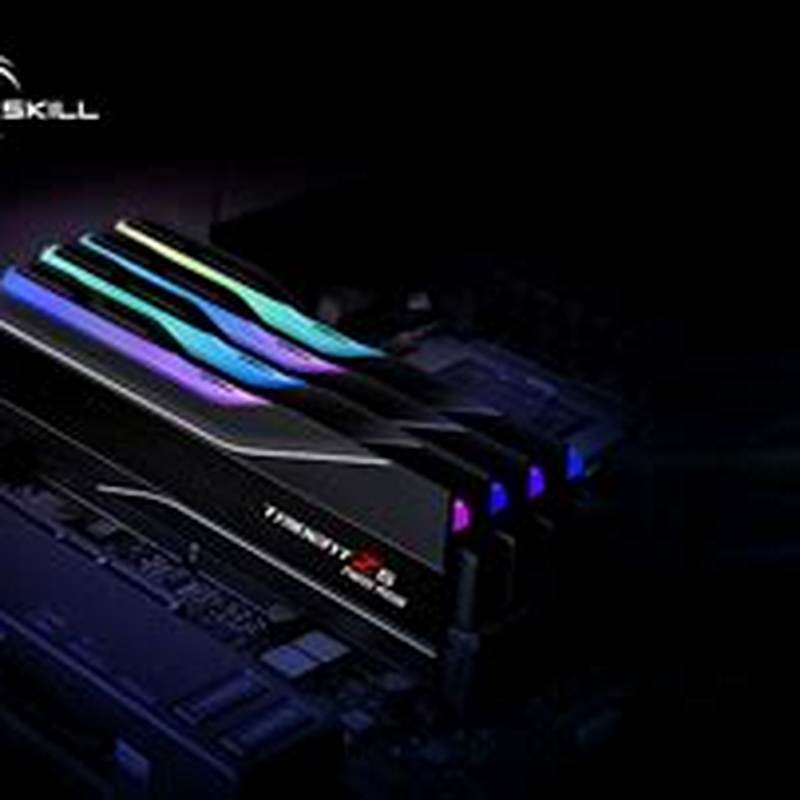 G.Skill Plus 12