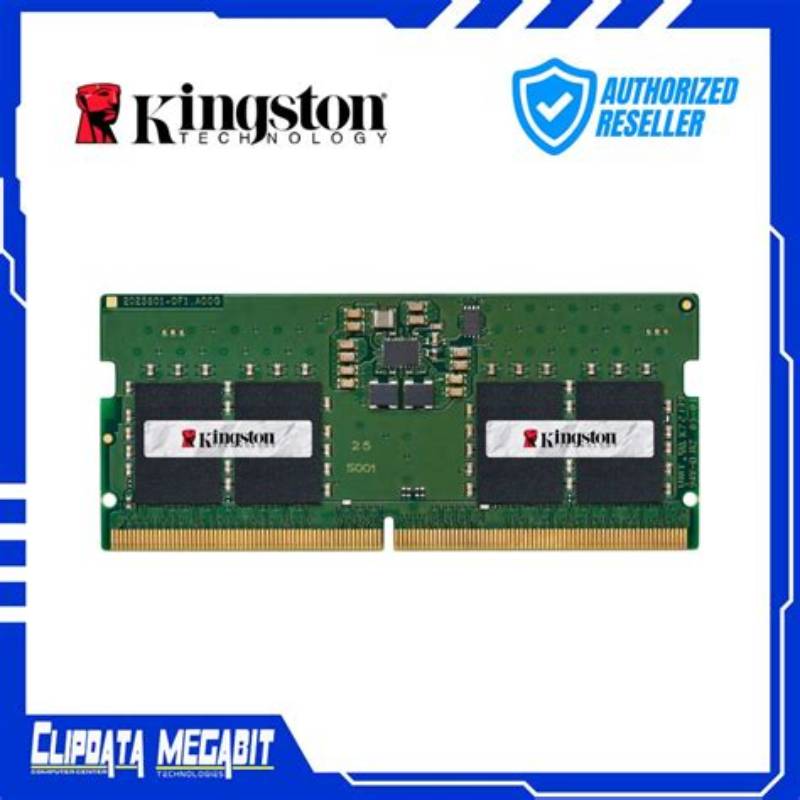 Kingston Pro 02
