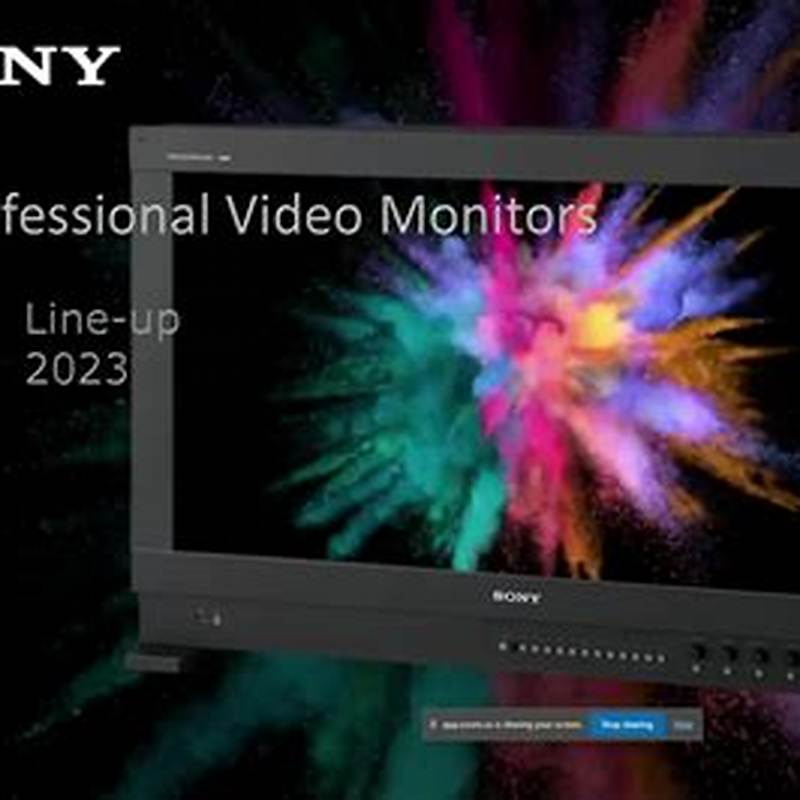 Sony Air 19