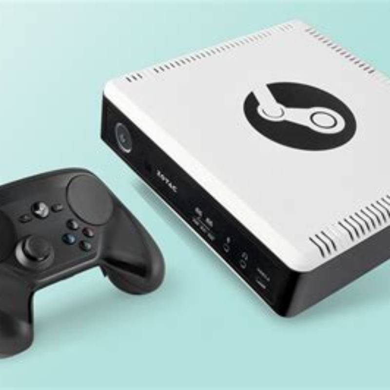 Steam Mini